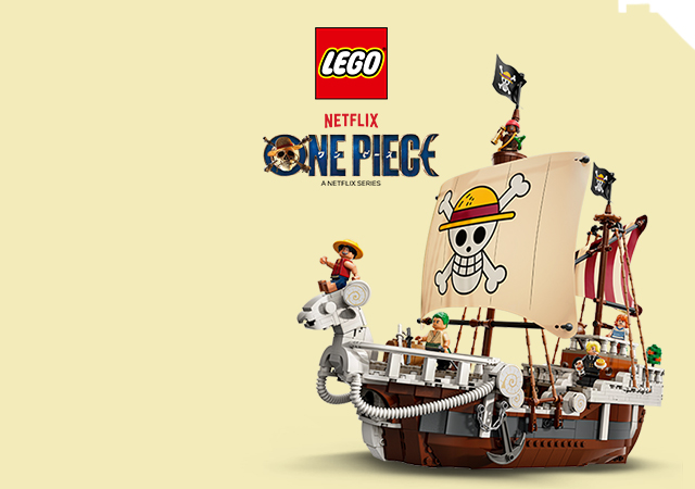 LEGO® One Piece