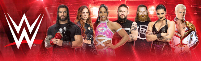WWE Banner