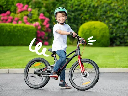 18 Inch Space Shuttle Magnesium Bike 