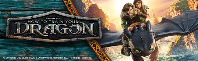 How to train your Dragon