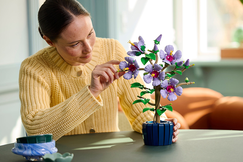 LEGO voor volwassenen Botanicals & Kunst