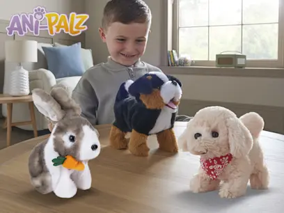 Ani Palz