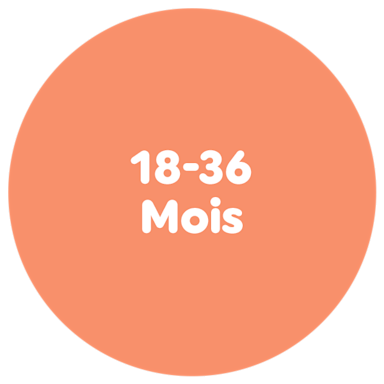 Jouets en bois Par Age 18-36 mois