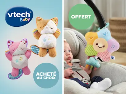 Offre VTech 255962