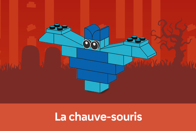 Notice Chauve-souris