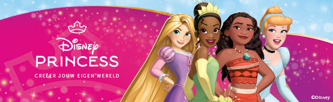 Disney Princess Banner