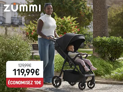 Zummi Zip 2 