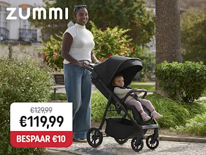 Zummi Zip 2 