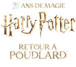 Sur une sélection de sets LEGO Harry Potter