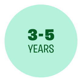 3 - 5 years 