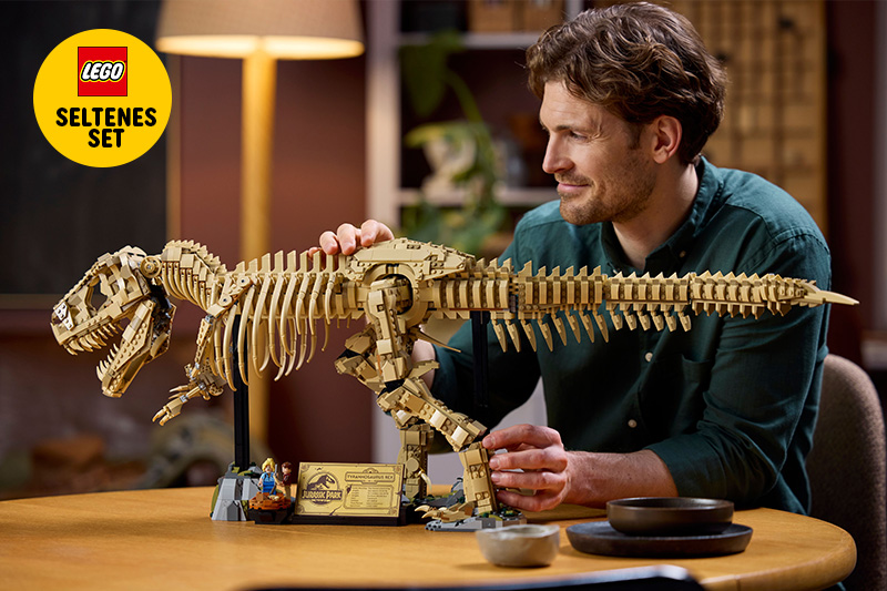 LEGO für Erwachsene - Seltene Sets
