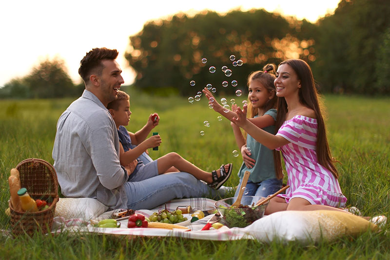 Boredom Busters Blog 9-11 Years Duplex Banners 4 - Image family having a picnic