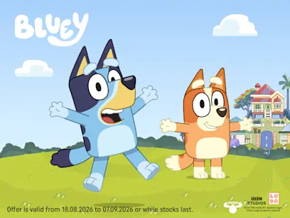 Generic bluey toys on the blue background 