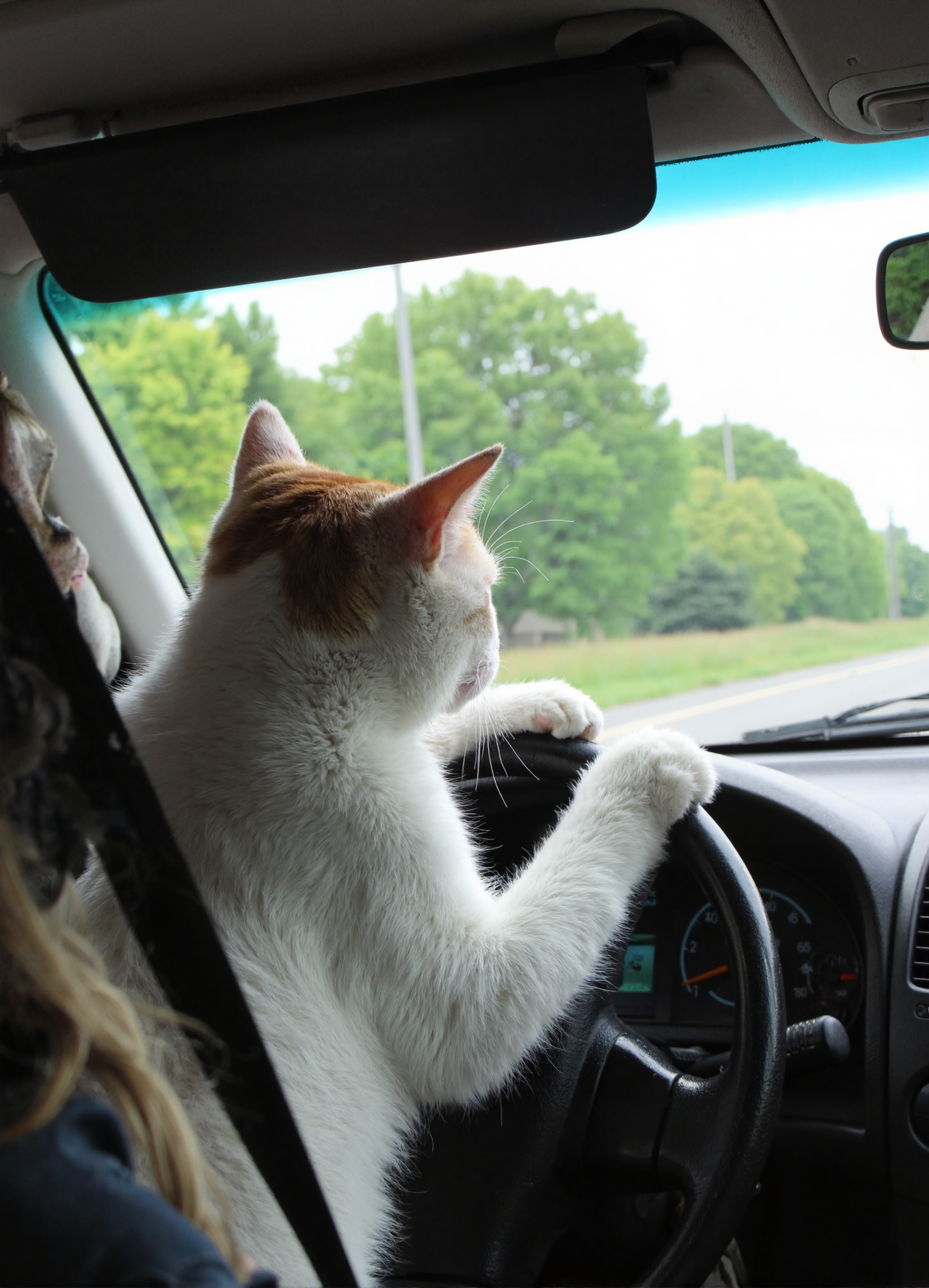 Cover Image for My first Post