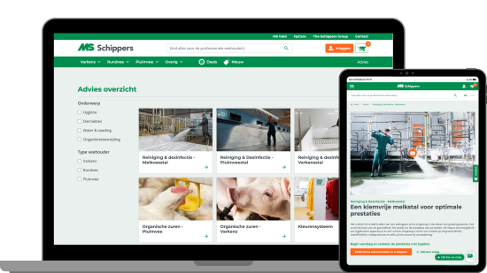 Mockup of a laptop showing the new grid design of the MS Schippers advice overview page and a tablet showing the MS Schippers advice d