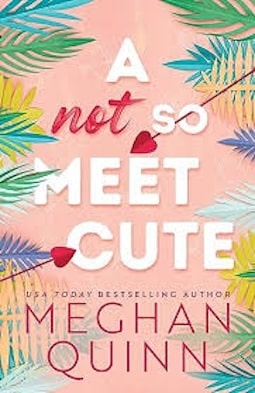 A-Not-So-Meet-Cute-by Meghan Quinn