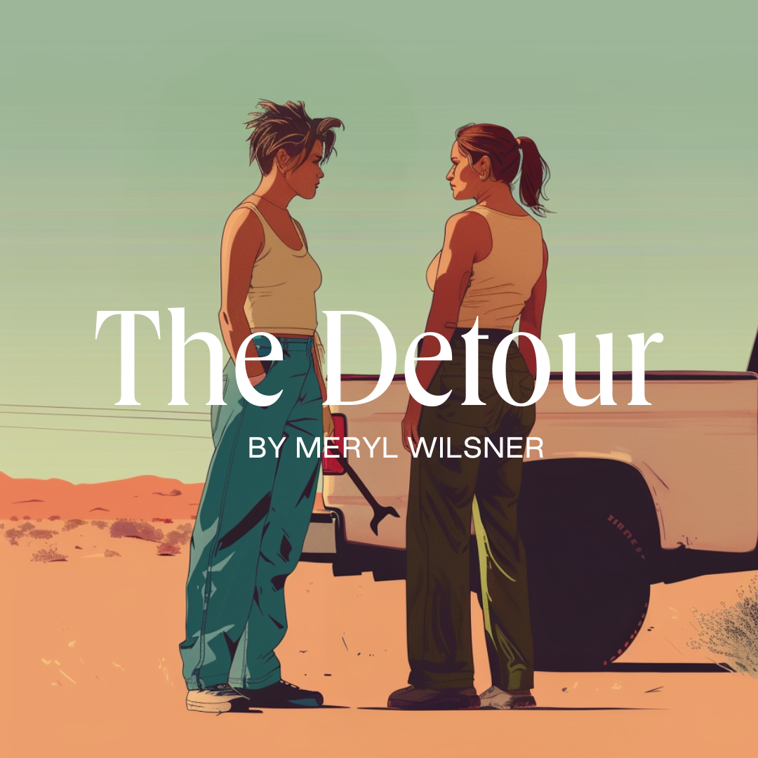 The Detour by Meryl Wilsner