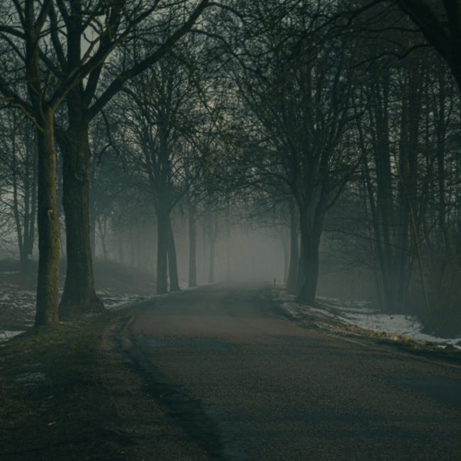 The Hunt: A Dark Supernatural Romance