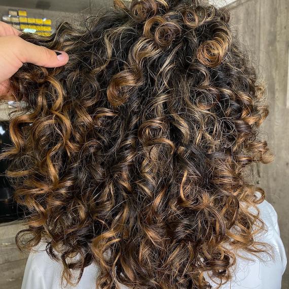 Back View Close Crop Visual Idea — Balayage on Wavy Hair 2027