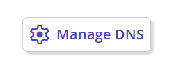 Manage%20DNS%20Icon