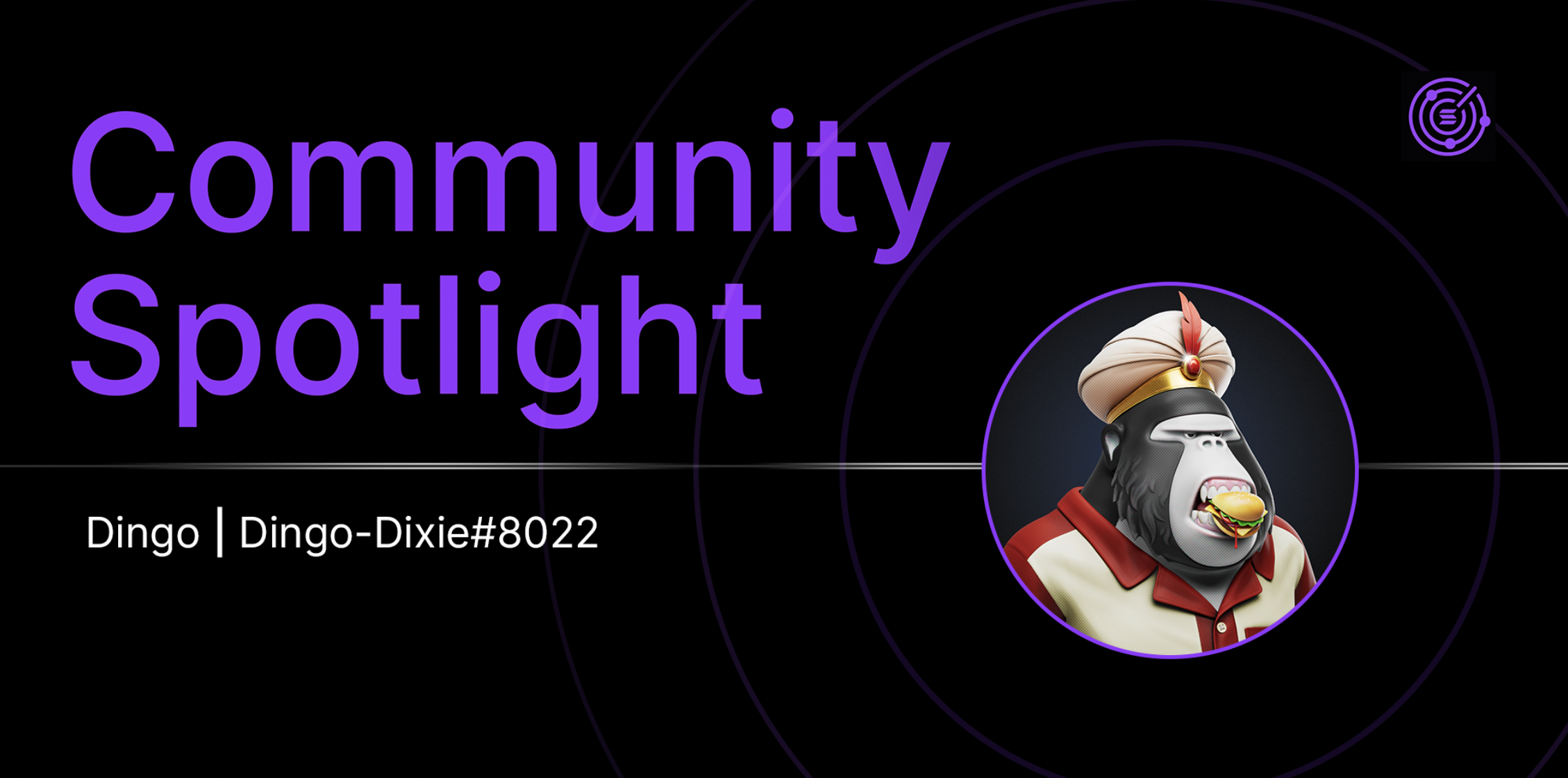 Cover Image for Community Spotlight - Dingo Dixie