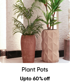 MSB-OD Acc-5B-Plant Pots