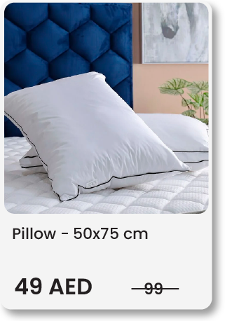 SS24-MegaDeals-Pillow2