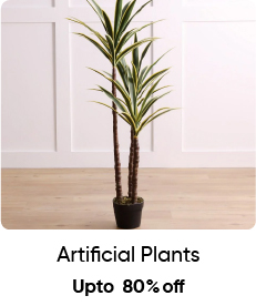 MSU-OD Acc-5B-Artificial Plant