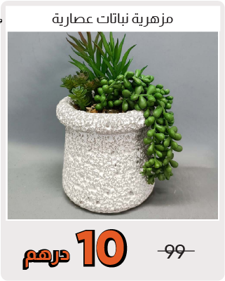 MRSSU-H Deal-Succulent Planter