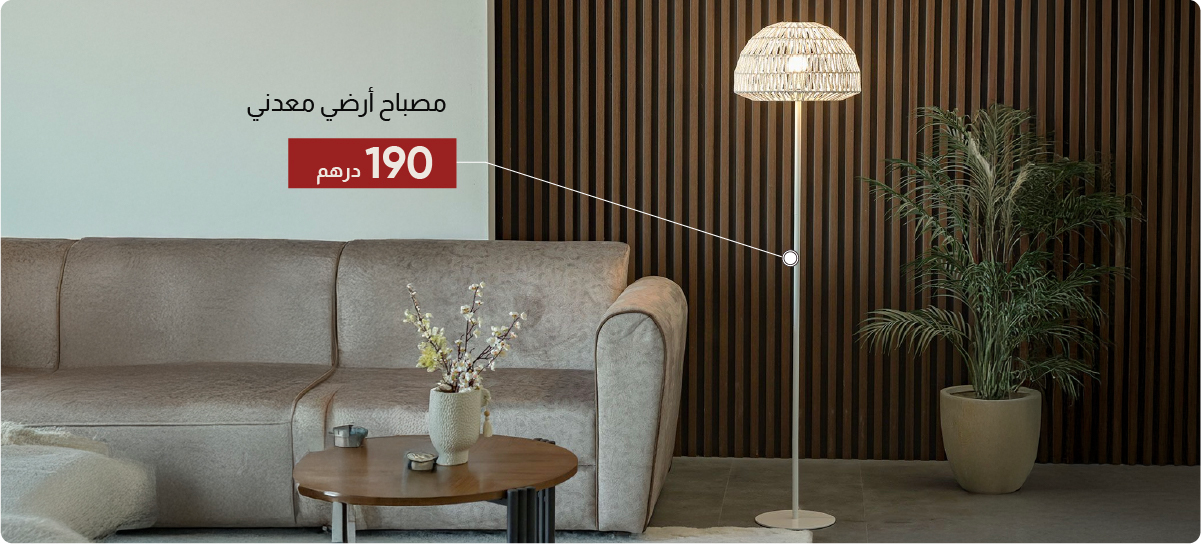 SSW-DB-Metal Floor Lamp