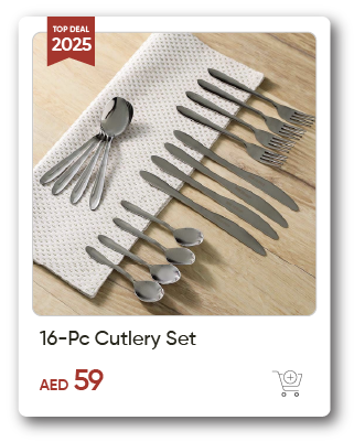 EHU-SD-16Pc Cutlery Set