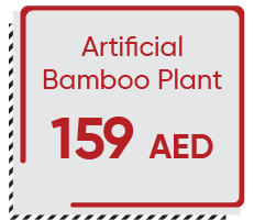 MRSSU-PBOD-A Bamboo Plant 159