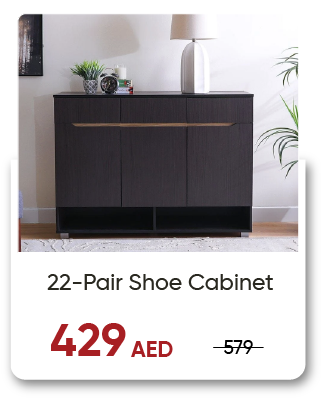 11:11-SD-22-Pair Shoe Cabinet