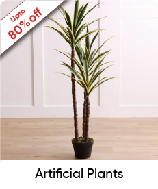 MRSU-OD Acc5B-Artificial Plant