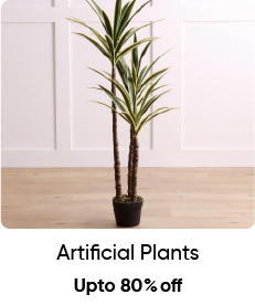 MSB-OD Acc-5B-Artificial Plant