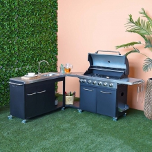 BBQ and Grill
