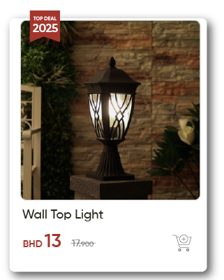 SSWB-SD-Wall Top Light