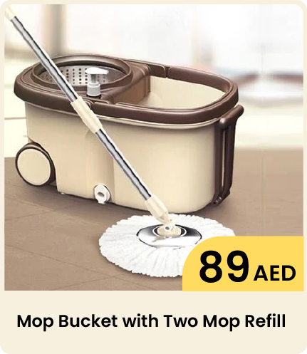 Cleaning - Bucket with Two Mop