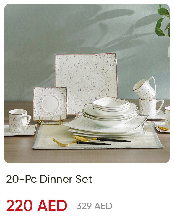 SFFU25-SD-20Pc Dinner Set