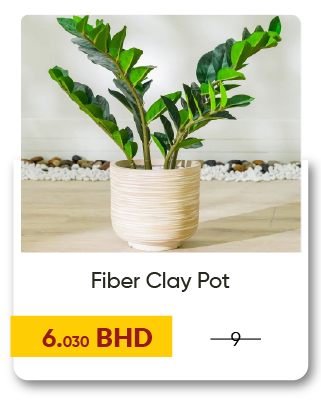 MRSB-SD-Fiber Clay Pot