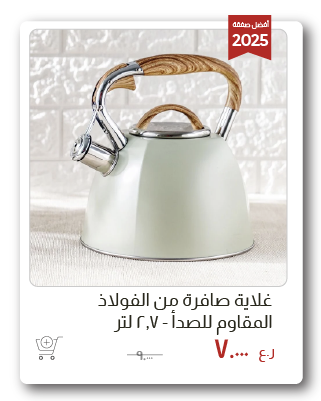 SSWO-SD-SS Whistling Kettle