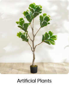 UAE-BF-MNM-Artificial Plants