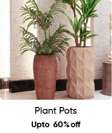 MSU-OD Acc-5B-Plant Pots