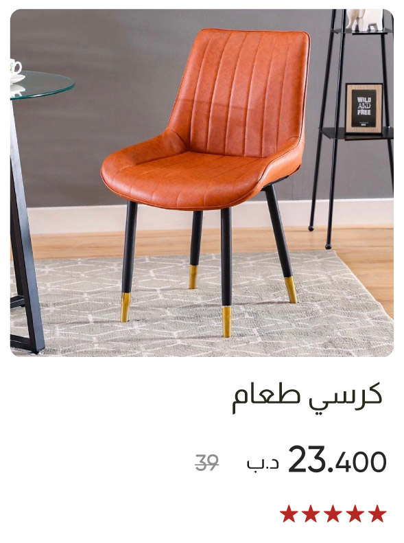 ROB25-SD-Dining Chair