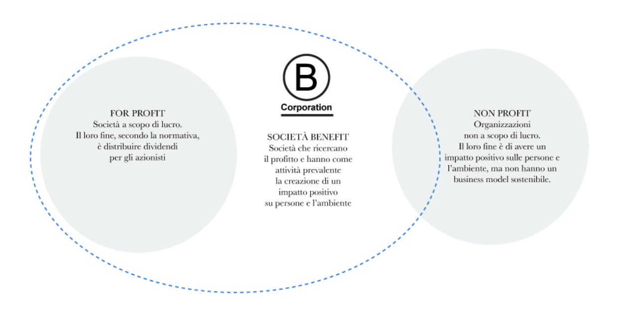 B Corp E Società Di Benefit, Cosa Sono E Come Funzionano | Trame Digitali