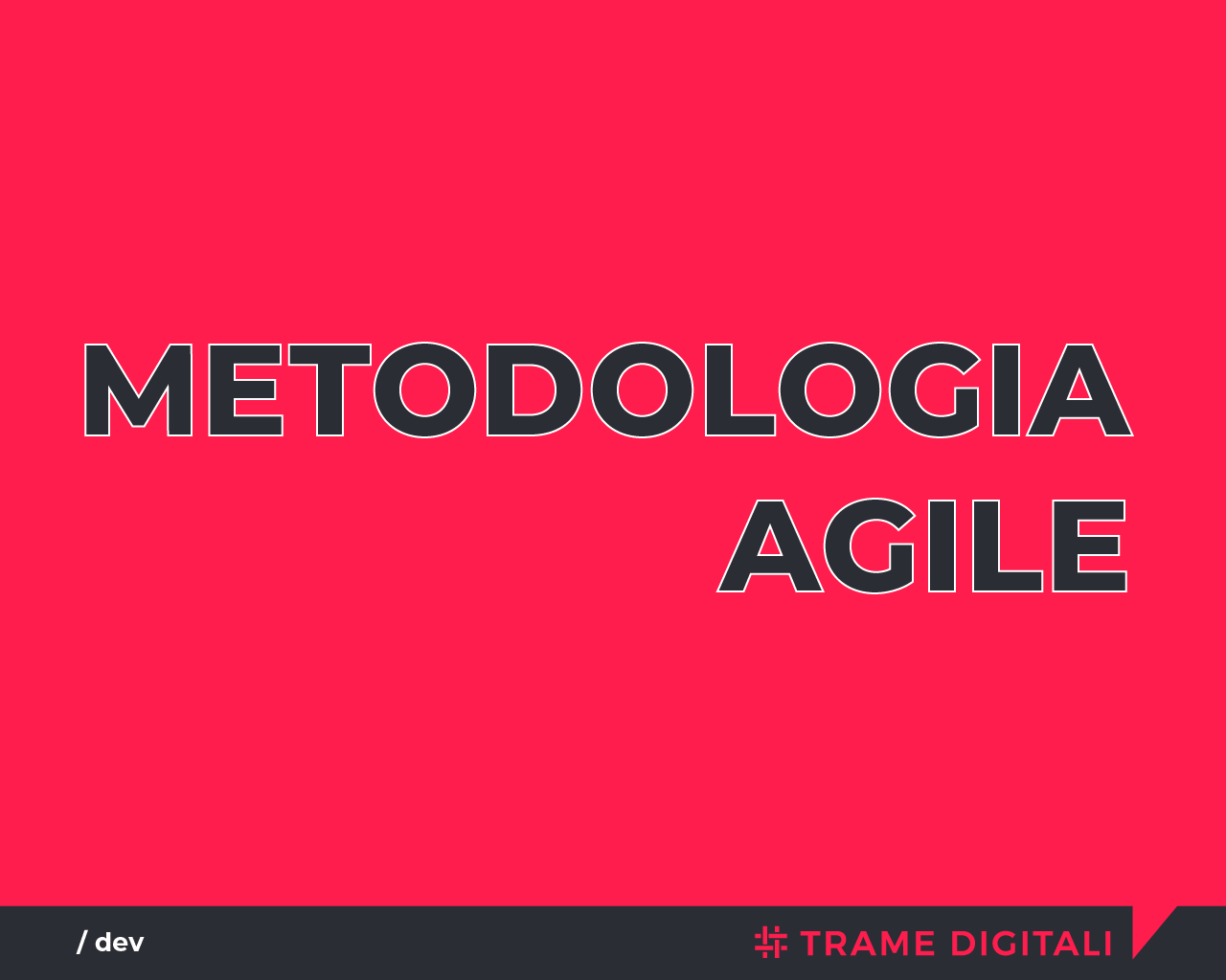 Metodologia agile: lo sviluppo software per le Lean Startup