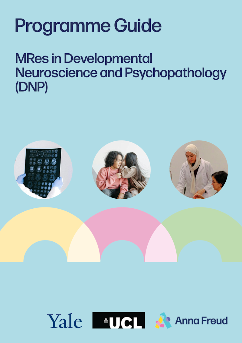 developmental neuroscience psychopathology mres guide