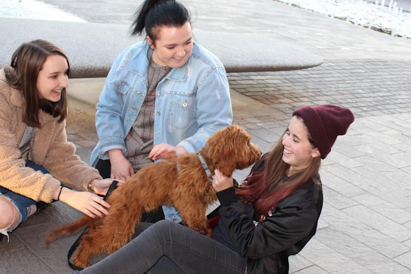 Three girls sitting on a pavement outdoors playing with a dog.