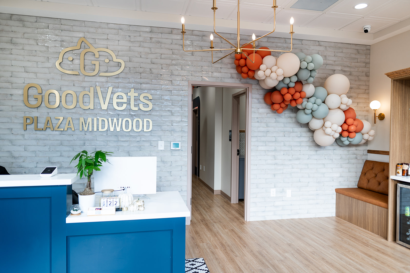 An animal hospital interior