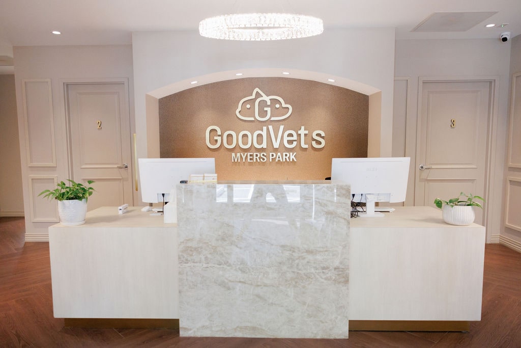 GoodVets Myers Park